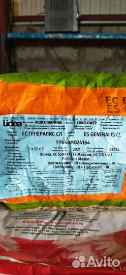 Семена подсолнечника гибрид
