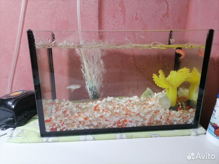 Продам аквариум с рыбками