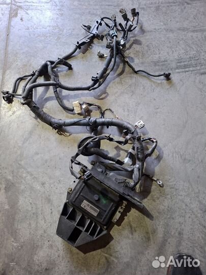 Эбу мозги нисан ад