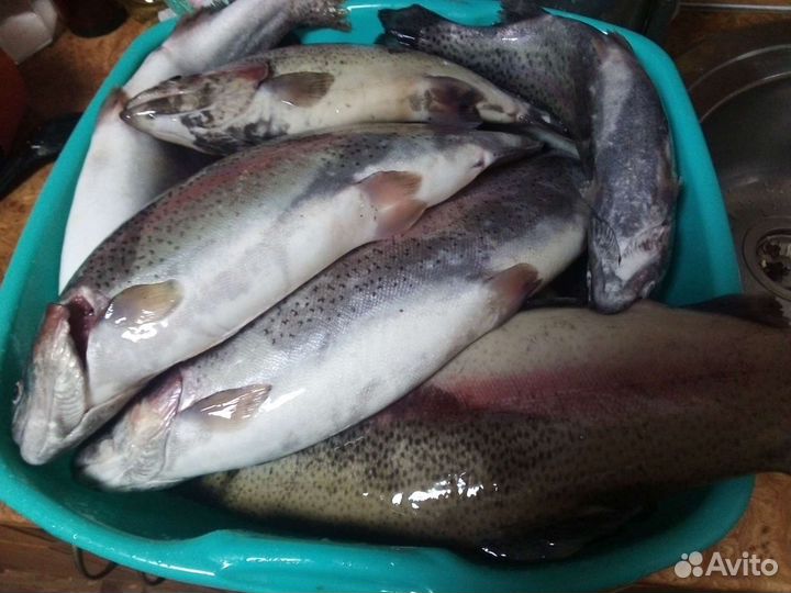 Продукты питания