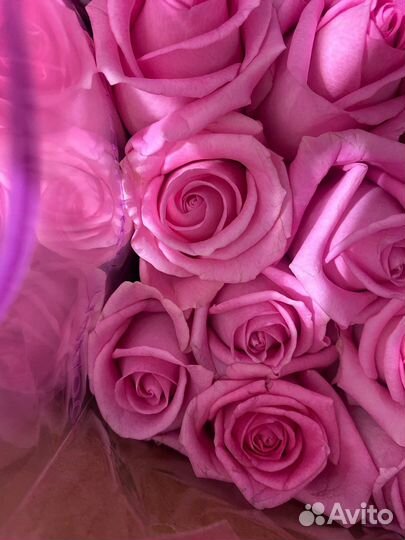 51 роза цветы букеты 101 25 21 15 розы