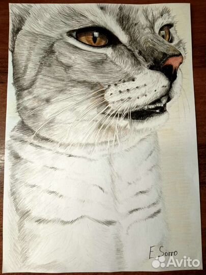 Портреты по фото и картины на заказ