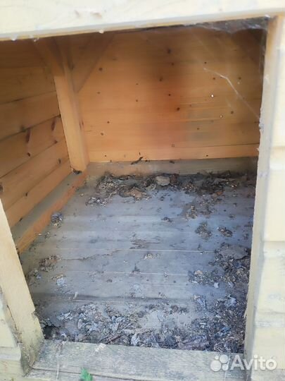 Собачья будка