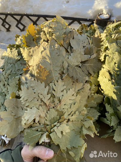 Веники для бани