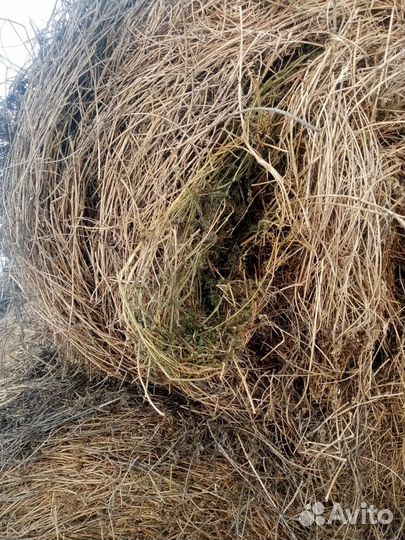 Сено в рулонах
