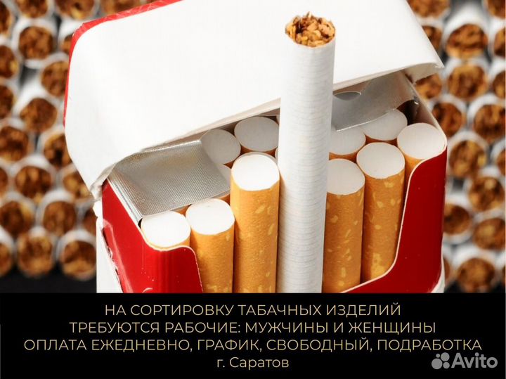 Разнорабочие Сортировка Табачных Изделий Без Опыта