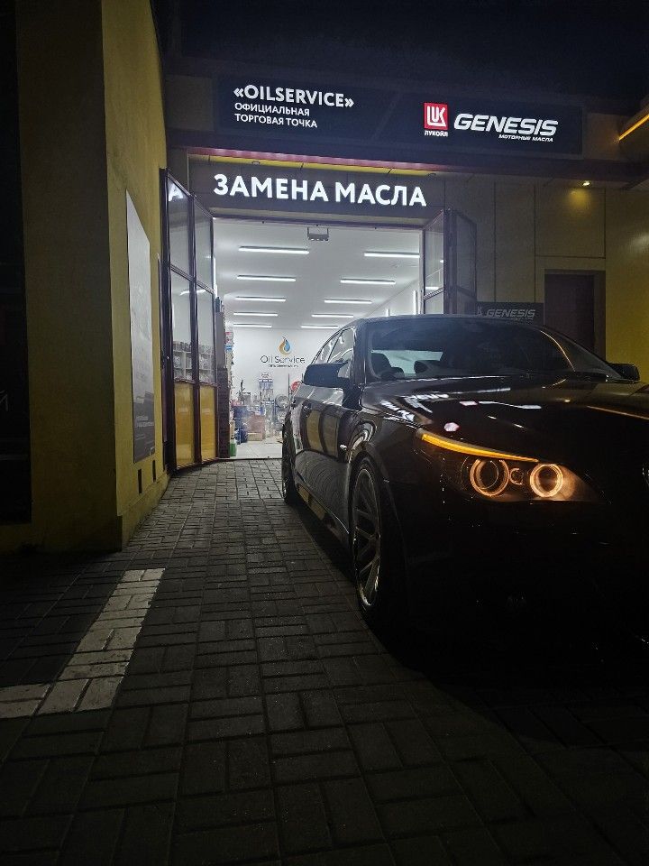 BMW 5 серия: фото владельца
