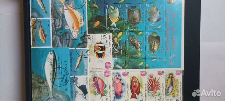 Альбом с марками рыбы