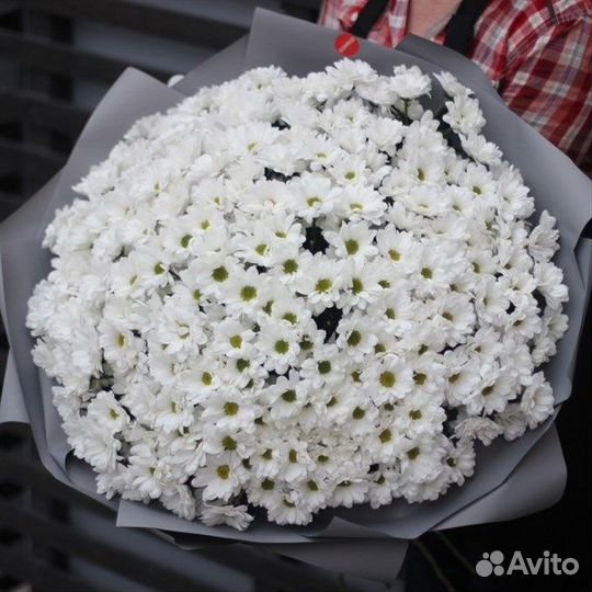 Хризантема срезка в букетах