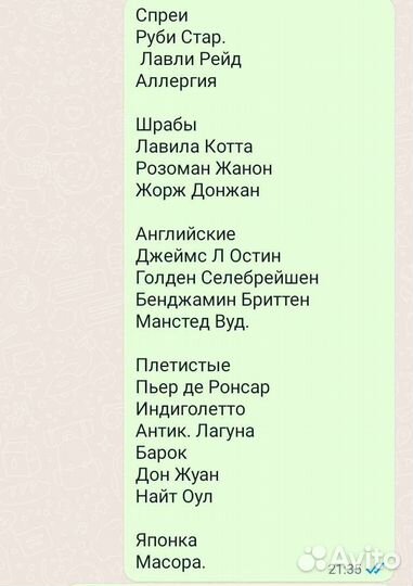 Саженцы роз в Волжском