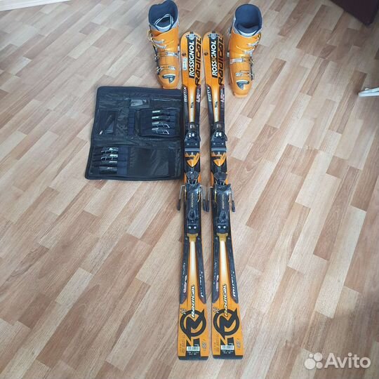 Горные лыжи