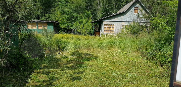 Участок 6 сот. (СНТ, ДНП)