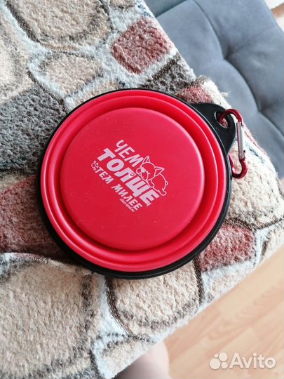 Вещи для собак