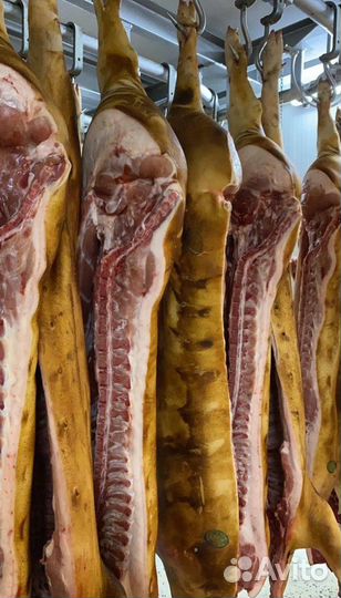 Фермерская свинина в полутушах/разруб. Высший сорт