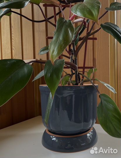 Набор горшков