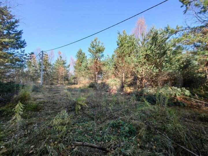 Участок 10 сот. (ИЖС)