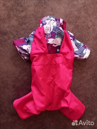 Осенний комбинезон на маленькую собачку