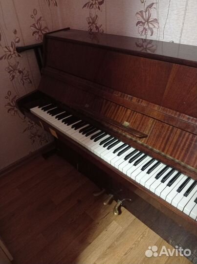 Фортепиано Аккорд