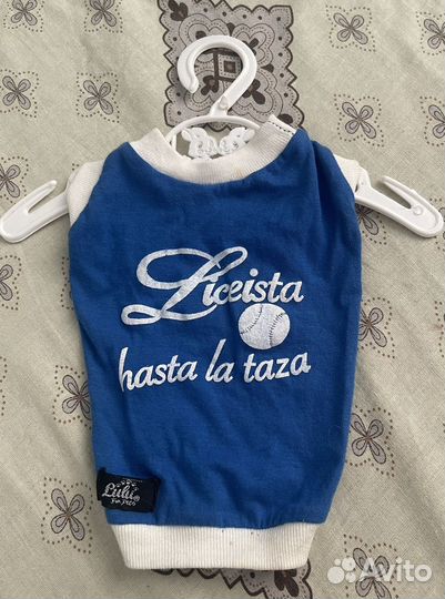 Майка для котенка или мелкой собачки XS