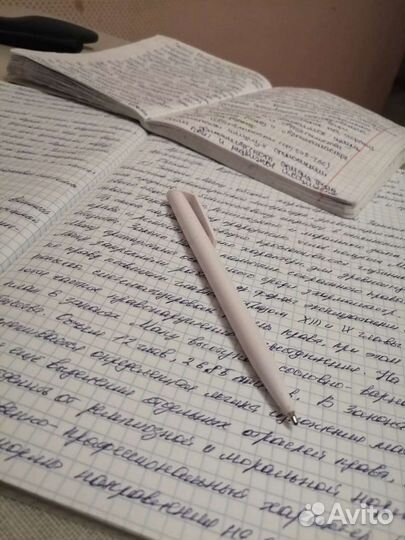 Перепишу конспекты, лекции от руки