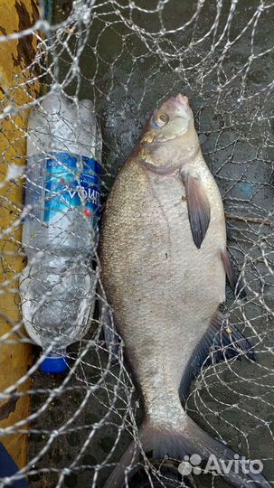 Рыбалка на мирную рыбу(лещ)