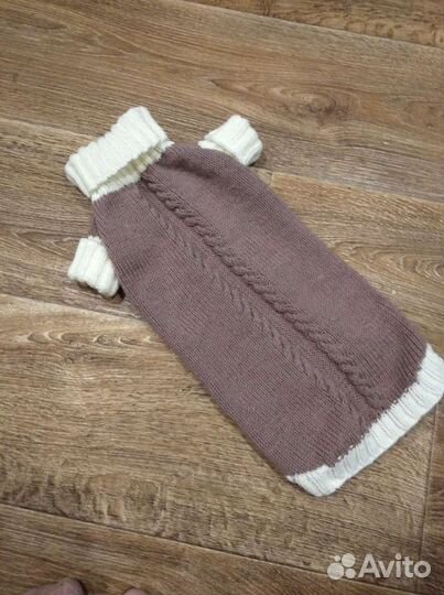 Одежда для собак