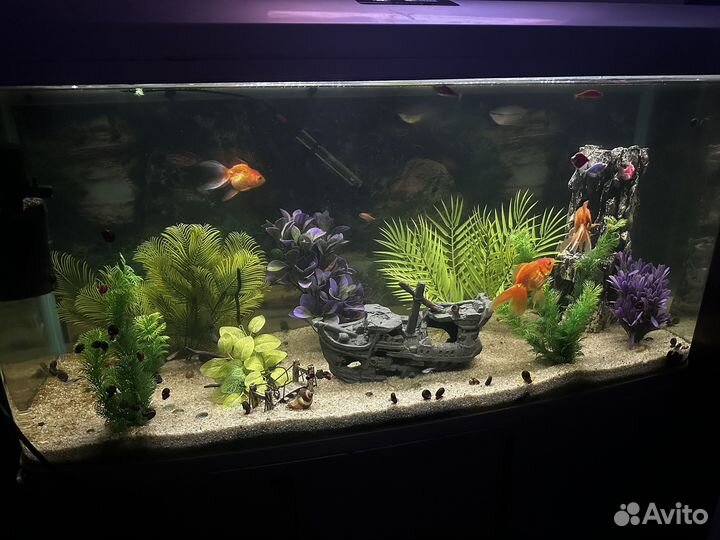 Аквариум