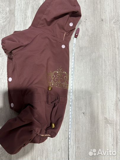 Одежда для собак мелких пород девочек