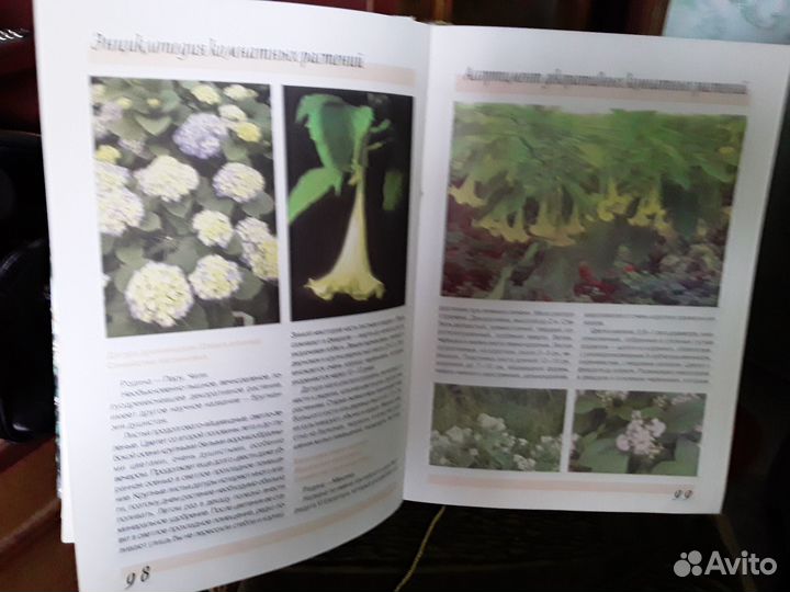 Энциклопедия ком