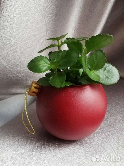 Кашпо с горшочком для цветов