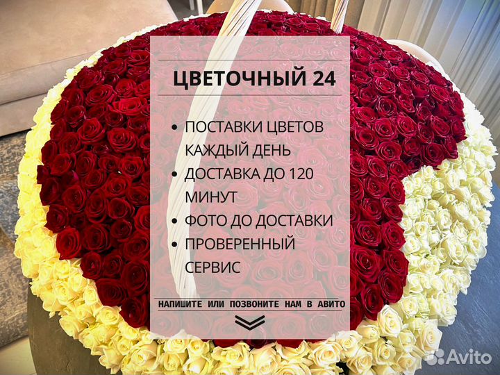 51 роза