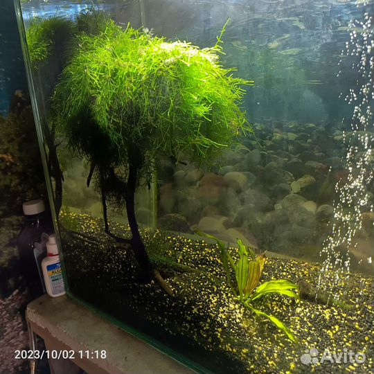 Аквариум с тумбой