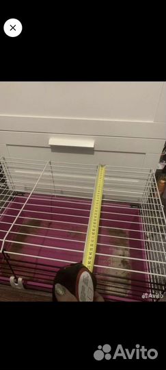 Клетка для кролика