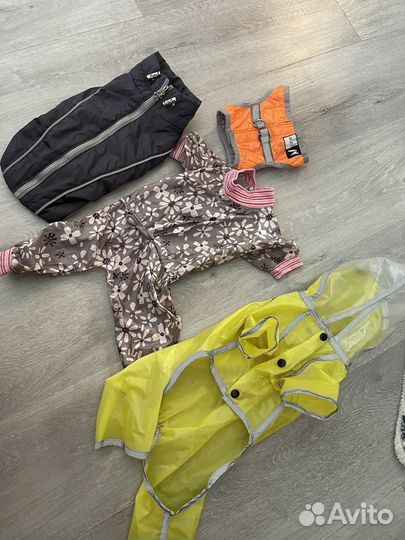 Одежда на маленькую собаку размер S-M