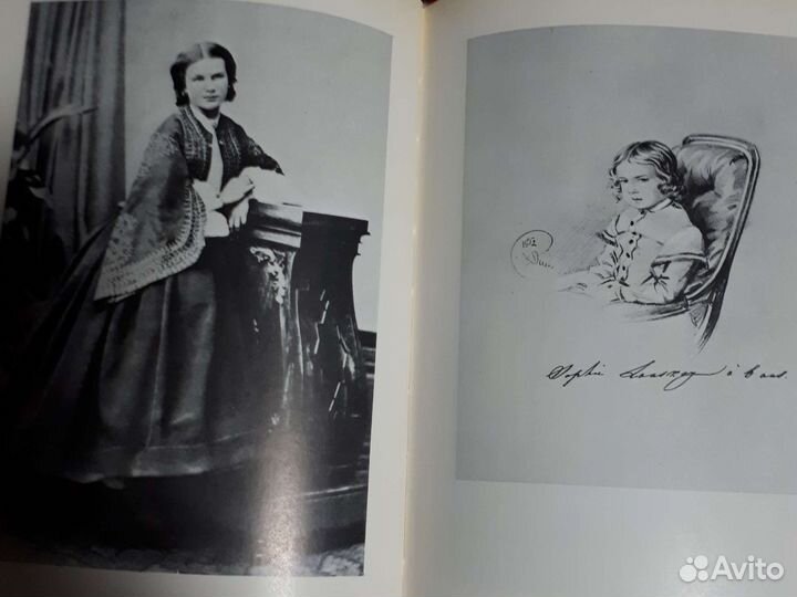 Книга Моя мадонна