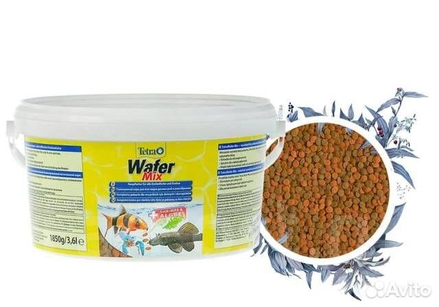 Сомики, корм