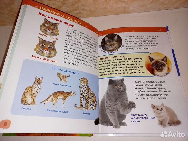 Энциклопедия для детского сада росмэн