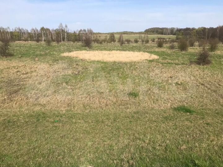 Участок 6,6 га (промназначения)