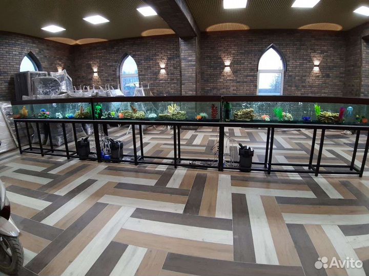 Обслуживание(чистка) аквариумов, установка, переус