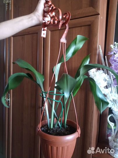 Кронштейны с держателями для цветов, полочка