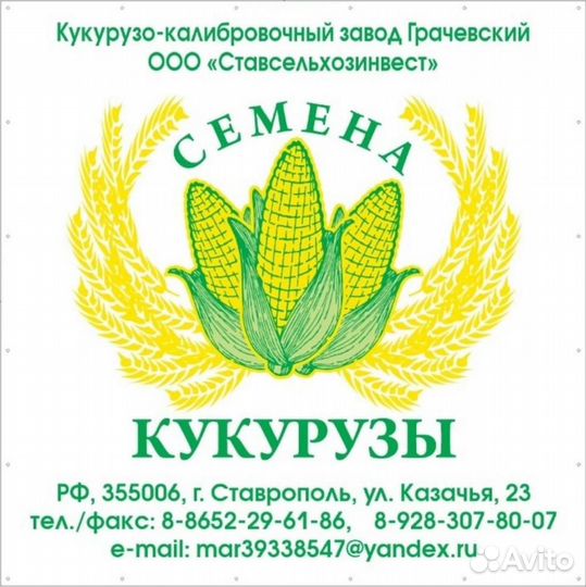 Кукуруза на силос (семена)