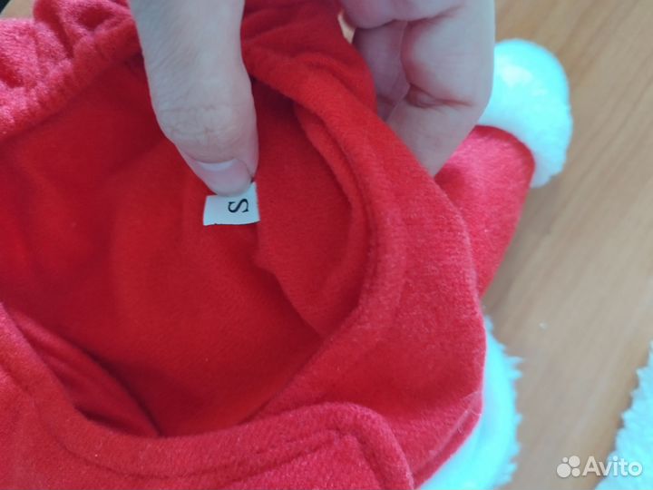 Костюм Санты для маленькой собачки