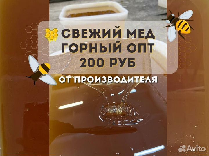 Свежий мед горный опт