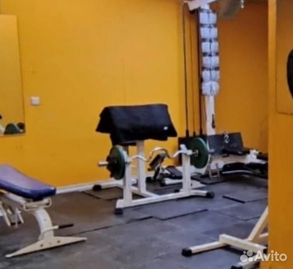 Тренажёр на бицепс, изолирующий спину,неКитайпром