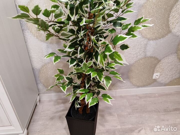 Фикус бенджамина пестролистный искусственный