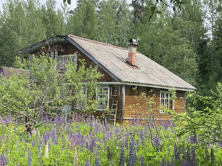 Дом 40 м² на участке 6 сот.