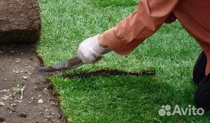 Гидропосев