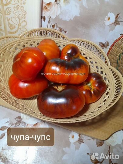 Семена коллекционных томатов