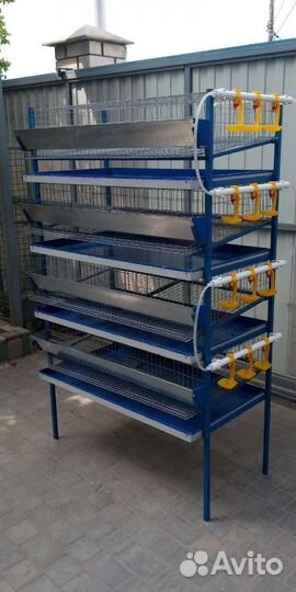 Клетка для перепелов новая