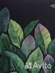 Картина холст 40*50